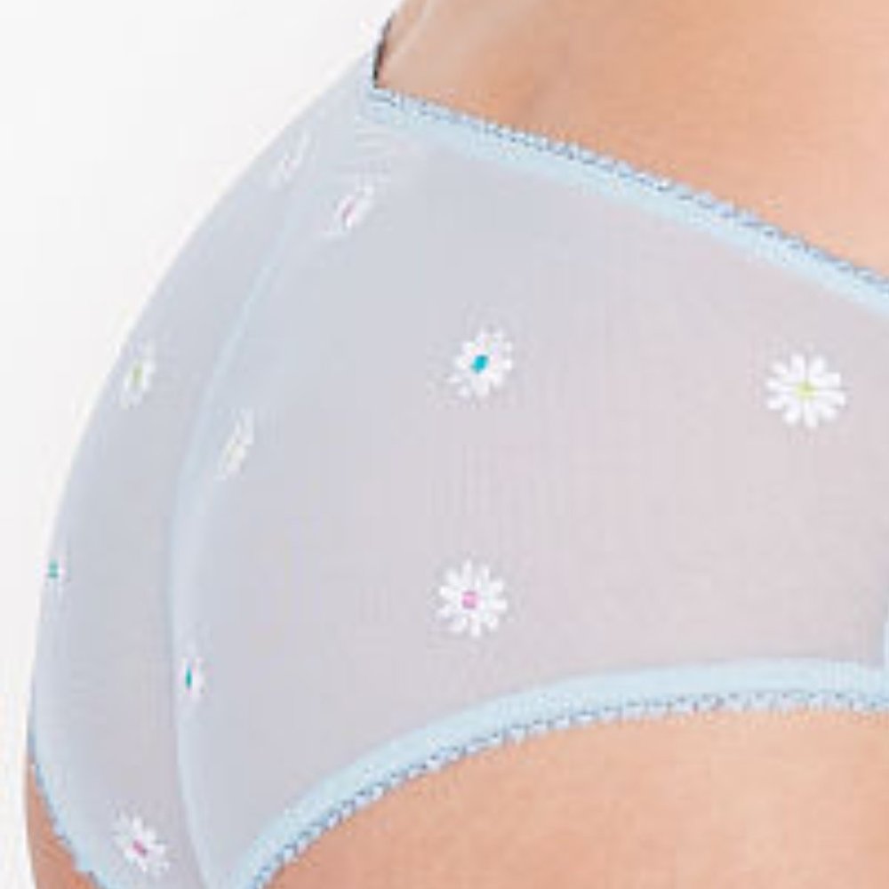 VS XS Daisy Embroidered Hiphugger NWT Blue with Adorable Daisies